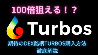 100倍狙える！？期待のDEX銘柄Turbos購入方法徹底解説！！ [upl. by Olifoet]