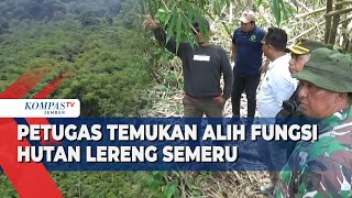 Patroli Gabungan Temukan Alih Fungsi Hutan Jadi Lahan Pertanian [upl. by Nemaj420]