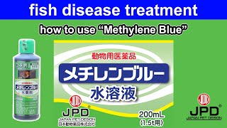 How to use fish disease treatment quotMethylene Bluequot [upl. by Aecila]