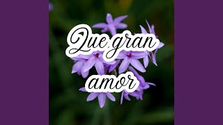 Que gran amor [upl. by Ecnav]