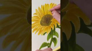 Part 1 of drawing a sunflower 🌻 music [upl. by Breban]