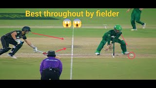 Batsman out by best throughout by the fielder in cricket 😱😱 [upl. by Ecyoj888]