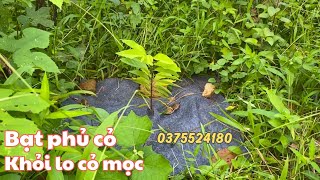 Bạt phủ gốc cây vải địa chống cỏ mọc đủ cỡ giá rẻ bạt phủ nông nghiệp siêu bền cách diệt cỏ dại [upl. by Toffey]