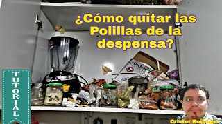 ¿Còmo quitar las polillas de la despensa de la cocina [upl. by Maher]