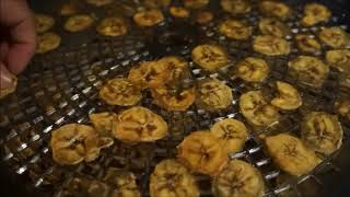 Drying Bananas in the Aroma AFD615 5 Tier Oscillating Dehydrator [upl. by Una]