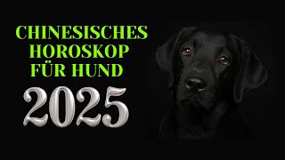 Hund  2025 Chinesisches Horoskop Das Jahr der grünen Schlange [upl. by Aryk]