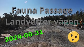 Fauna Passage Landvetter vägen 240831 [upl. by Anul]