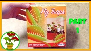 Venus Fly Traps Part 1 [upl. by Aretta]