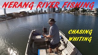 FISHING NERANG RIVER 24TH MAY 2024 [upl. by Vish]