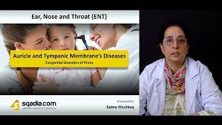 Auricle and Tympanic Membrane’s Diseases  ENT Video Lectures  VLearning [upl. by Eiramave]