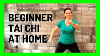 BEGINNER TAI CHI AT HOME  Tai Chi for beginners seniors older adults elderly Jan 2022 [upl. by Isobel]