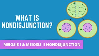 NONDISJUNCTION  HOMOLOGOUS CHROMOSOMES OR SISTER CHROMATIDS DONT SEPARATE [upl. by Merchant]