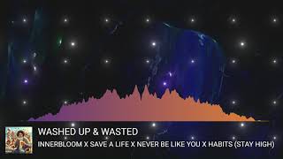 WASHED UP amp WASTED 2024 EDM Mashup Official Visualizer [upl. by Rennoc]