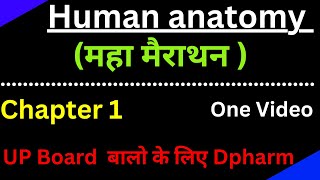 Human anatomy Chapter 1 in detail  Definition and scope of Human anatomy and physiology [upl. by Duquette]