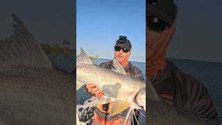 I Caught a MASSIVE Threadfin Salmon Fishing [upl. by Wesle]