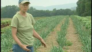 Sustainable Tillage  Beech Grove Farm Trout Run PA [upl. by Laeria]