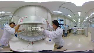 Experiencia 360° USS Química y Farmacia [upl. by Atterg]