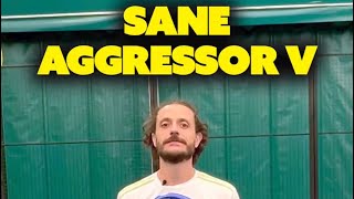 Recensione Sane Aggressor V volèe e vibora al top [upl. by Nossaj324]