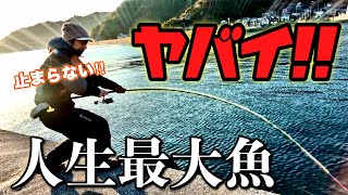 【神回】ごく普通の堤防であり得ない大物！釣り人生40年の最大魚を釣ってしまった‼️ [upl. by Tartan580]