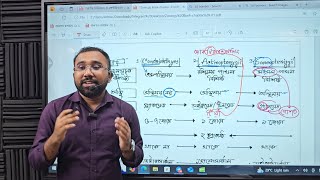 কর্ডাটা পার্ট২ Vertebrata ChondrichthyesActinopterygiiSarcopterygii শ্রেণীর বৈশিষ্ট্য সহজে [upl. by Corie949]