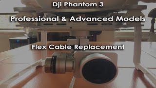 DJI Phantom 3 Camera Flex Cable Replacement ProAdv Models [upl. by Lemaceon]