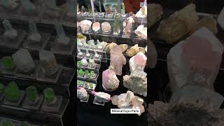 Mineral Expo Paris 2023  Mineralshow  Paris  mineralspecimen  MineralsParadise  Gemstones [upl. by Eikkin917]