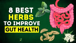 8 Best Herbs To Improve Gut Health [upl. by Nitsrek]