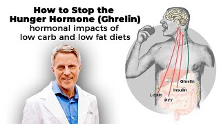 How to Stop Ghrelin the Hunger Hormone Hormonal Impacts of Low carb and Low Fat Diets [upl. by Hgiel]