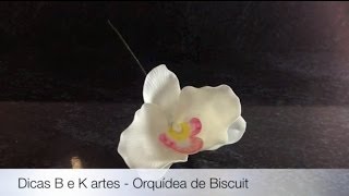 Orquídeas de Biscuit  Dicas B e K artes [upl. by Allicsirp]