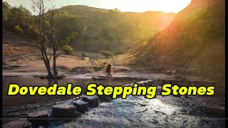 Dovedale stepping stones dovedale peakdistrict travel [upl. by Samara454]