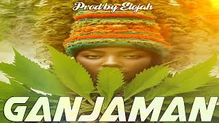 quotGanjamanquot Type beat reggae Roots riddim 2024 [upl. by Pillow]