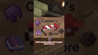 Rating YOUR shops on my minecraft server [upl. by Ainesell]