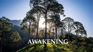 Awakening  Llewellyn VaughanLee [upl. by Newfeld542]