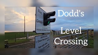 Two Warbling Alarms Dodds Level Crossing DerryLondonderry Thursday February 15022024 [upl. by Aerda]