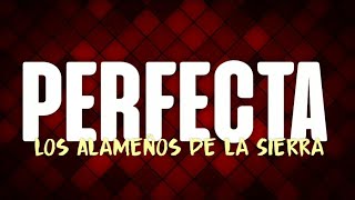 LETRA Perfecta  Los Alameños de la Sierra [upl. by Wallace]