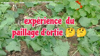 test du paillage dortie [upl. by Yor]