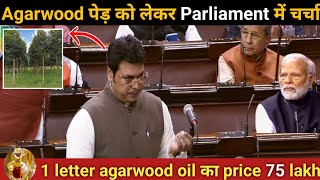 CM ने किया Agarwood पेड़ को लेकर parliament में चर्चा  Agarwood farming agarwoodfarmingbusiness [upl. by Caterina]