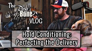 Hold Conditioning From the Start Perfecting the Delivery  The DogBone VLOG Ep 60 [upl. by Kathrine896]