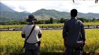 Philippines une prison à ciel ouvert sur une île paradisiaque [upl. by Rajewski546]