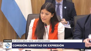 COMISIÓN COMPLETA LIBERTAD DE EXPRESIÓN  12 de septiembre de 2024  Diputados Argentina [upl. by Hackney816]