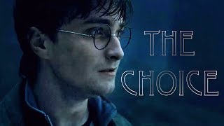 Harry Potter  The Choice [upl. by Zippel]