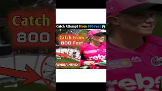 Alyssa Healy’s 270Foot Record Catch 😱 [upl. by Ricker]