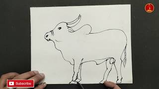 Kangeyam Kalai Drawing  Easy Bull Drawing  Mattu Pongal Drawing [upl. by Ahsiryt]