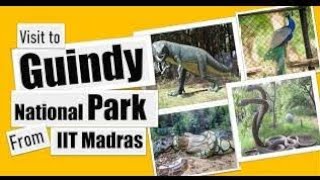 Guindy National Park  Visit To National Park Chennai  கிண்டி சிறுவர் பூங்கா  VIJAY amp SURUTHI [upl. by Meisel]