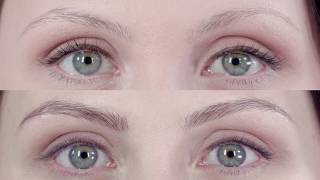 amiea NANO NT Eyebrows Treatment by Elena Nikora  Micropigmentation  Permanent Make Up video [upl. by Leunas]