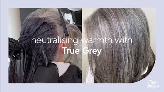 How to Neutralize Warmth In Grey Hair Using True Grey  Wella Professionals [upl. by Atiekan]