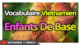 Apprendre le Vietnamien  Vocabulaire Vietnamien enfants de base  Golearn [upl. by Retsehc]