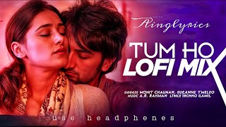 Tum ho slowed x reverb romantic lofi mix lyrics l in hindi song lyrics l ainglyrics [upl. by Berkman]