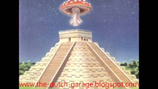 0511 13th Floor Elevators  Dont Fall Down Live 19651966 [upl. by Aerda192]