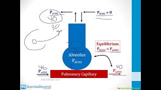 Ventilation and Perfusion atf [upl. by Agathy196]